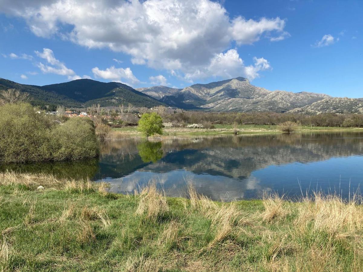 Los Cedros, Gran Chalet Con Piscina Y Apartamento En Navacerrada Exteriér fotografie