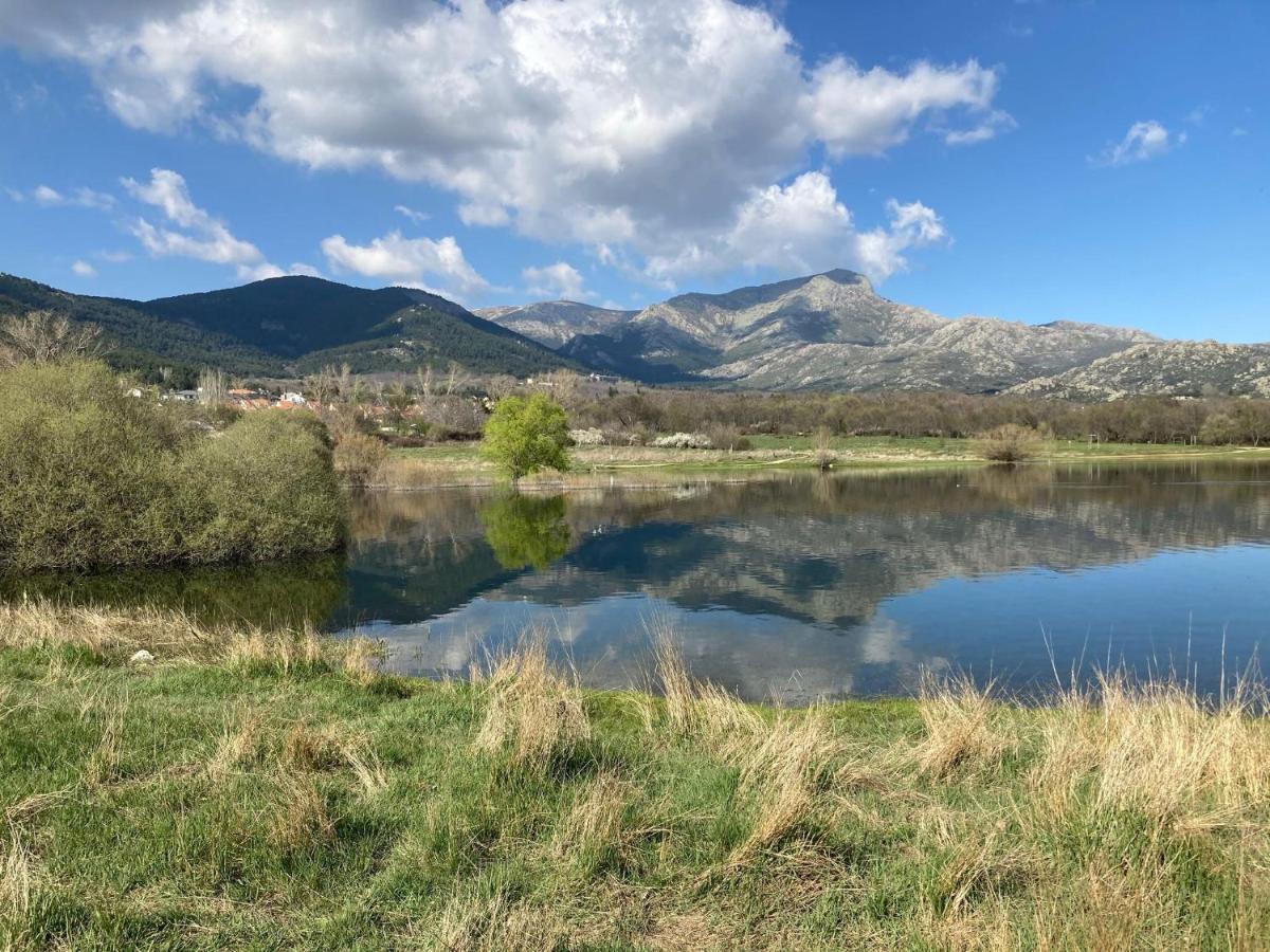 Vila Los Cedros, Gran Chalet Con Piscina Y Apartamento En Navacerrada Exteriér fotografie