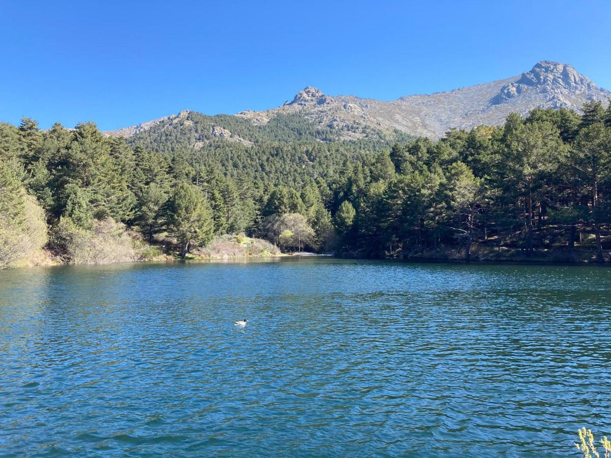 Vila Los Cedros, Gran Chalet Con Piscina Y Apartamento En Navacerrada Exteriér fotografie